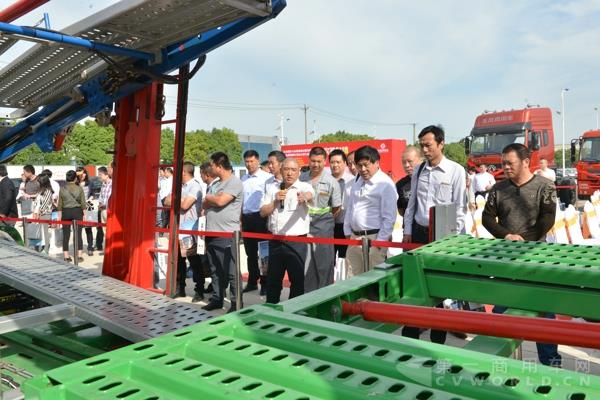 DSC_8582.jpg DSC_8582.jpg