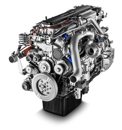 Picture1.jpg Picture1.jpg