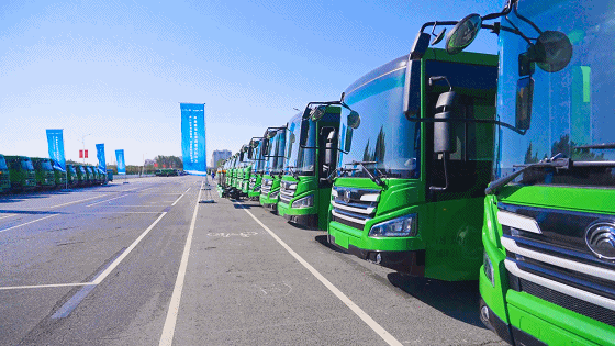 图片 39.png 图片 39.png