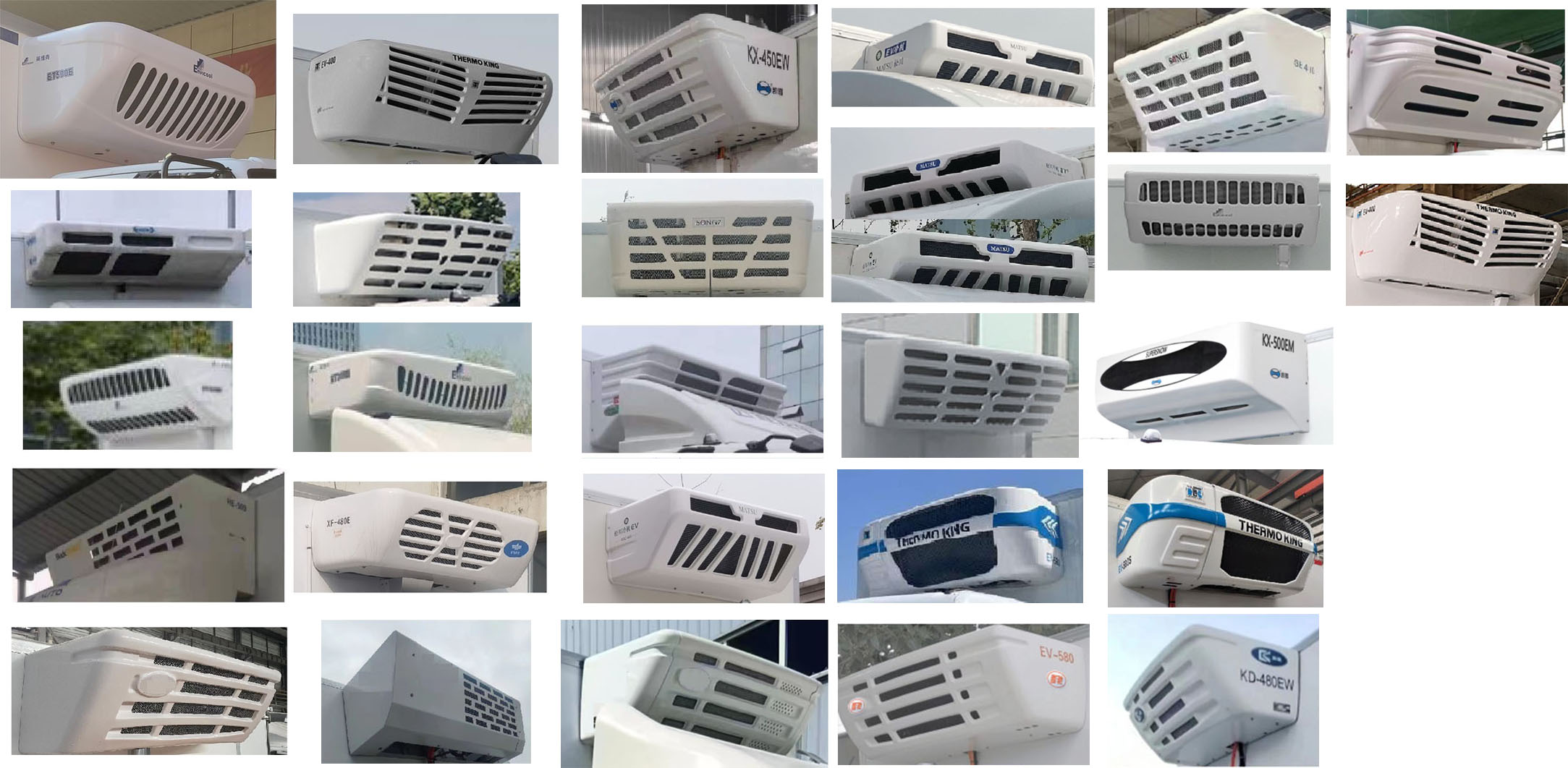 金龙12.jpg 金龙12.jpg