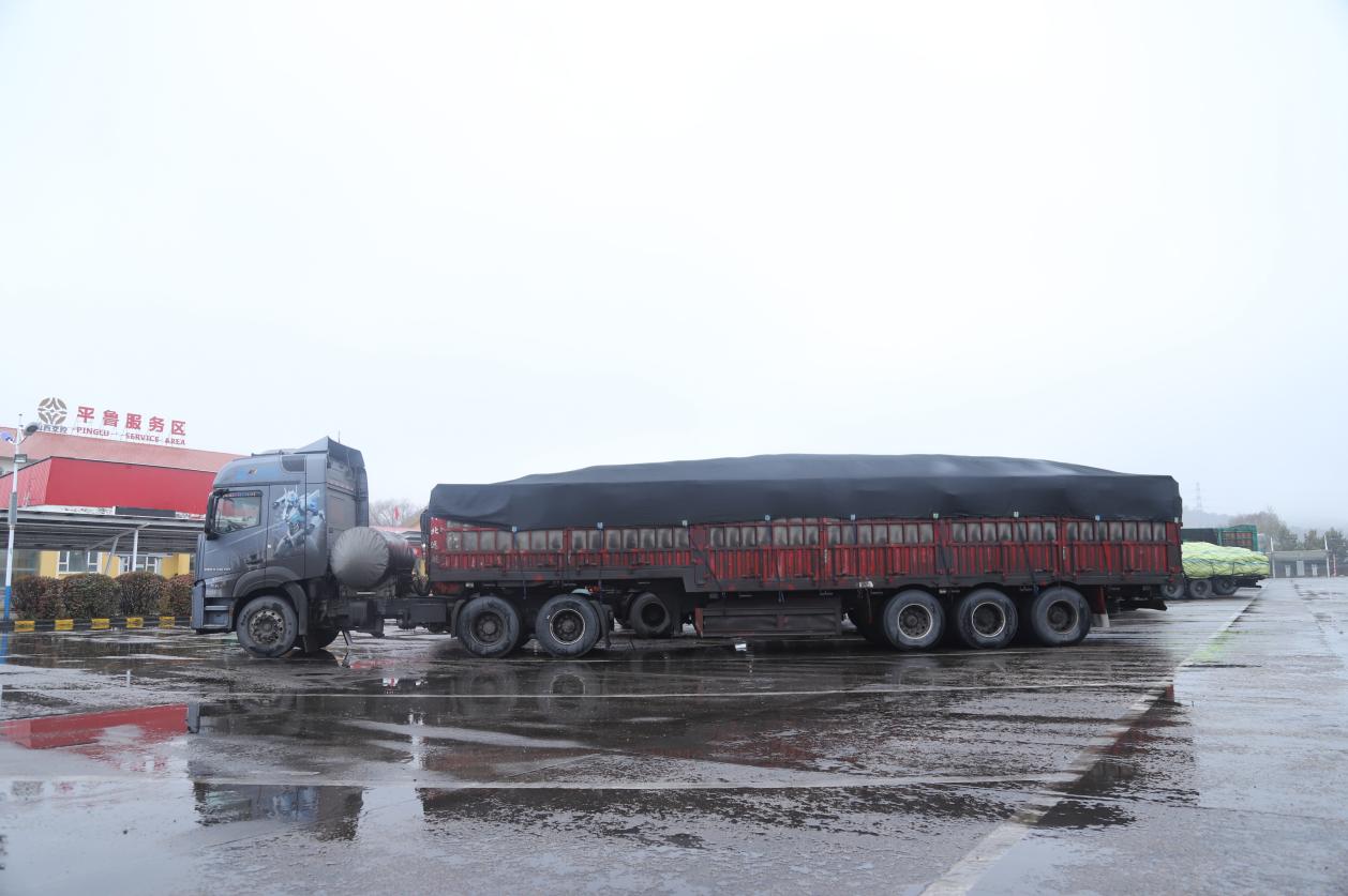 image005.jpg image005.jpg