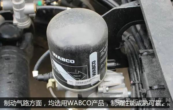 19.webp.jpg