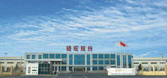 骆驼新能源获3048万补助,或凭“三招”更进一步.png 骆驼新能源获3048万补助,或凭“三招”更进一步.png