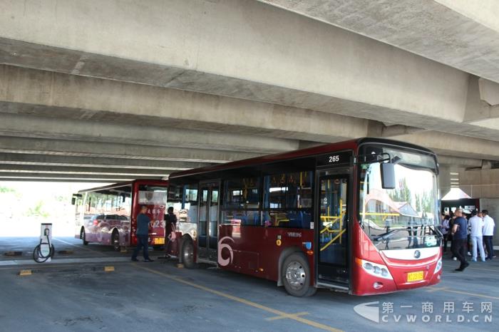 IMG_9872.jpg IMG_9872.jpg