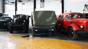 感悟历史芳华1.gif 感悟历史芳华1.gif