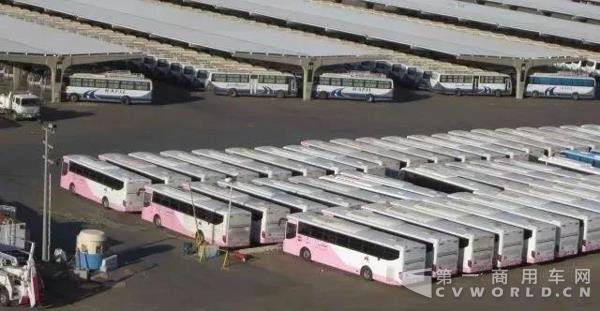 加蓬首次进口中国客车,动力毫无意外是TA5.jpg 加蓬首次进口中国客车,动力毫无意外是TA5.jpg