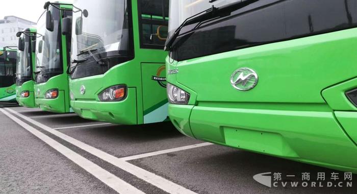 东城公交购买的批量海格纯电动客车.jpg 东城公交购买的批量海格纯电动客车.jpg