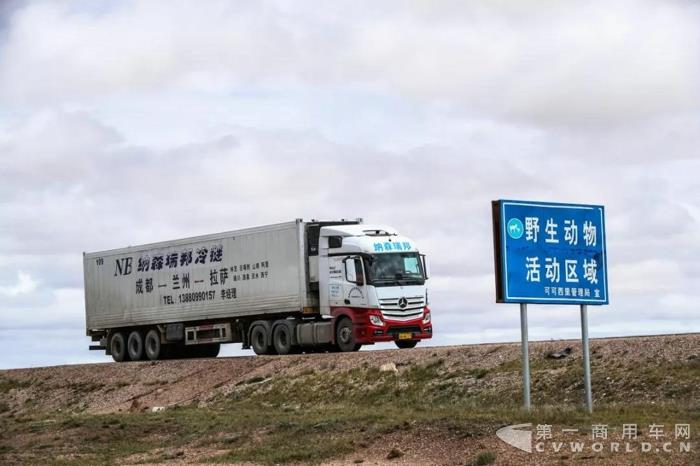 连绵起伏的地面是一大考验,奔驰新Actros却能够轻松面对.jpg 连绵起伏的地面是一大考验,奔驰新Actros却能够轻松面对.jpg