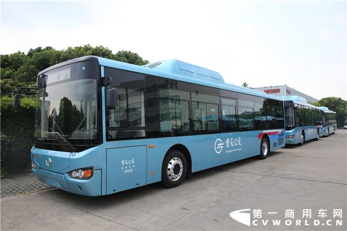 D14U8443.jpg