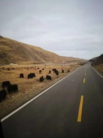 微信图片_20200312103059_副本.jpg 微信图片_20200312103059_副本.jpg