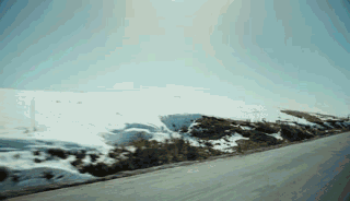 ΢ͼƬ_20200420110156.gif