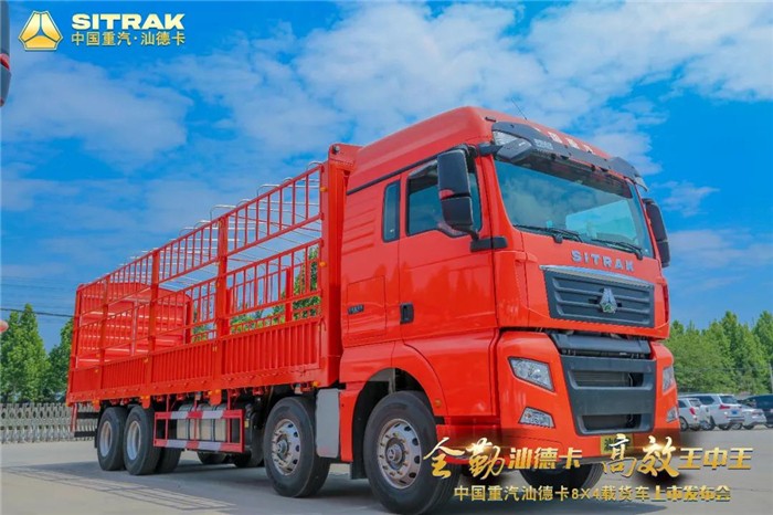 汕德卡8X4载货车02.jpg