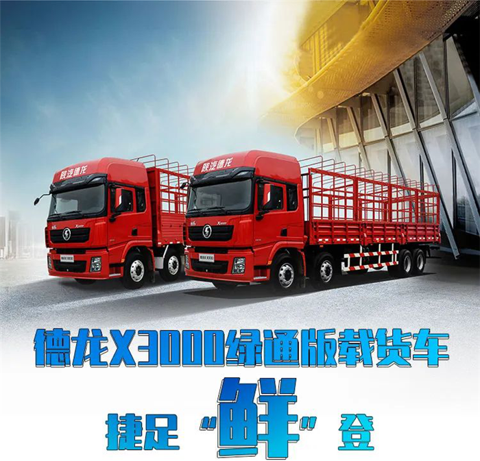 陕汽德龙X300006.png