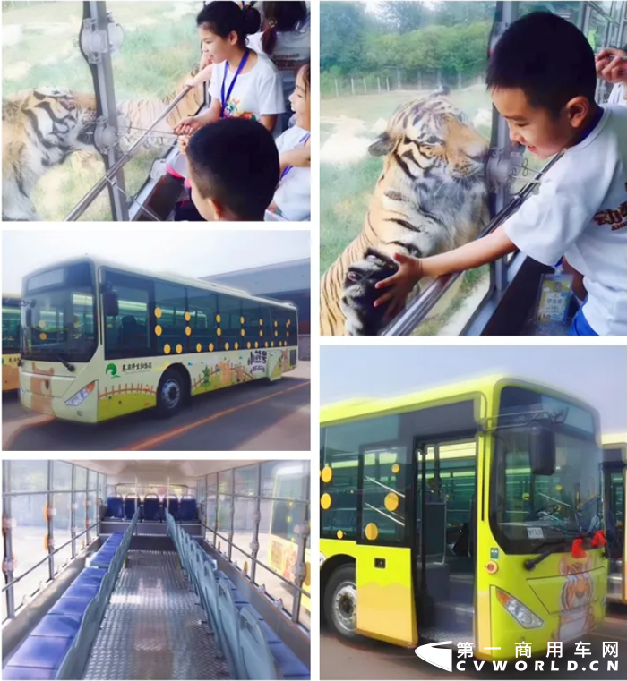 中通5.png 中通5.png
