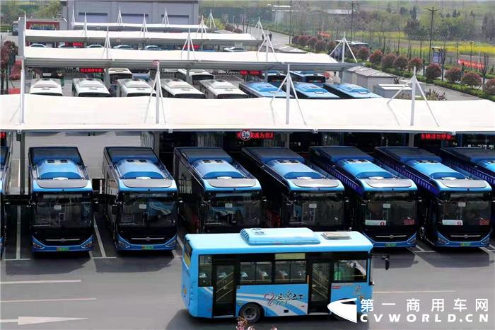 菏泽公交场站的中通客车.jpg 菏泽公交场站的中通客车.jpg