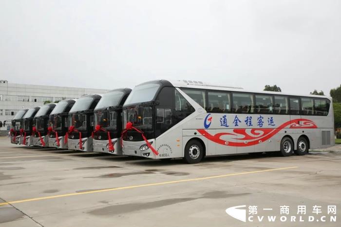 金龙11.jpg 金龙11.jpg