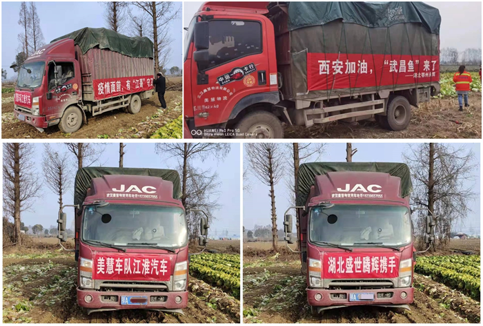 图片 4.png 图片 4.png