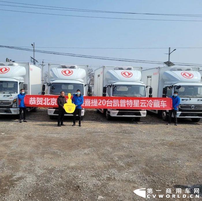 凯普特01.jpg 凯普特01.jpg