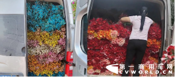 吉象5.png 吉象5.png