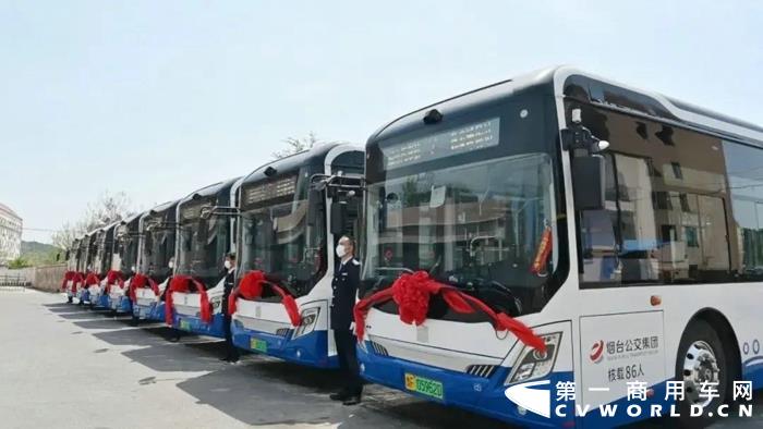 中车电动“扮靓”滨海城市2.jpg 中车电动“扮靓”滨海城市2.jpg