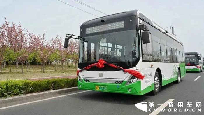 中车电动“扮靓”滨海城市6.jpg 中车电动“扮靓”滨海城市6.jpg