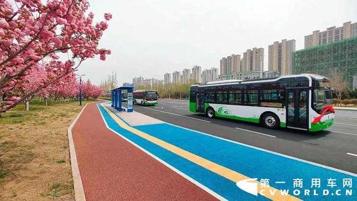 中车电动“扮靓”滨海城市8.jpg 中车电动“扮靓”滨海城市8.jpg