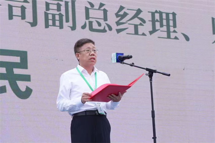 图片 31.png 图片 31.png