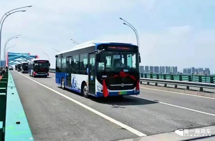 ͨ綯.jpg