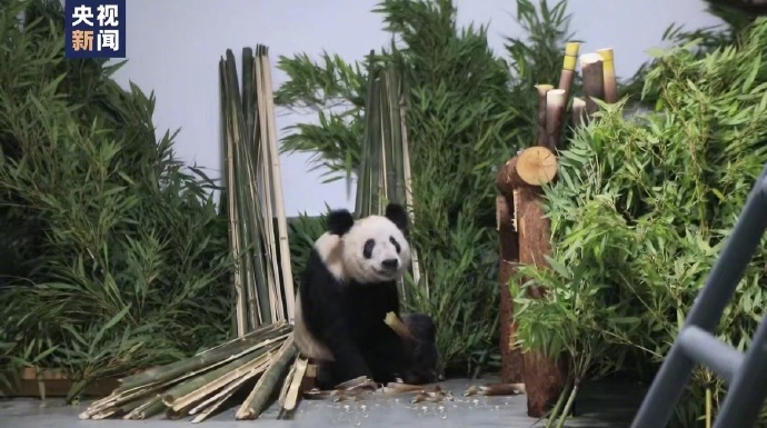 图片 3.png 图片 3.png