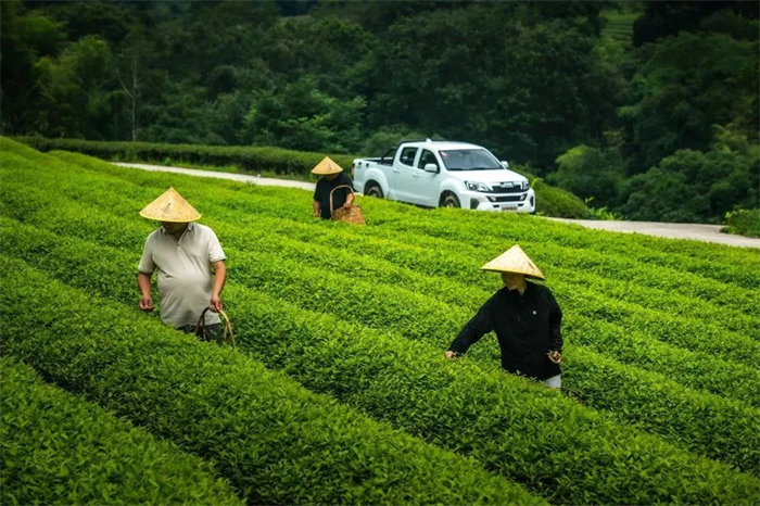 图片 7.png 图片 7.png