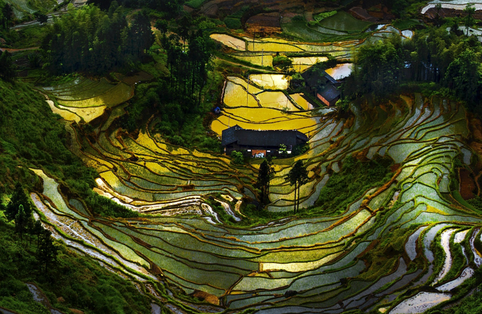 图片8.png 图片8.png