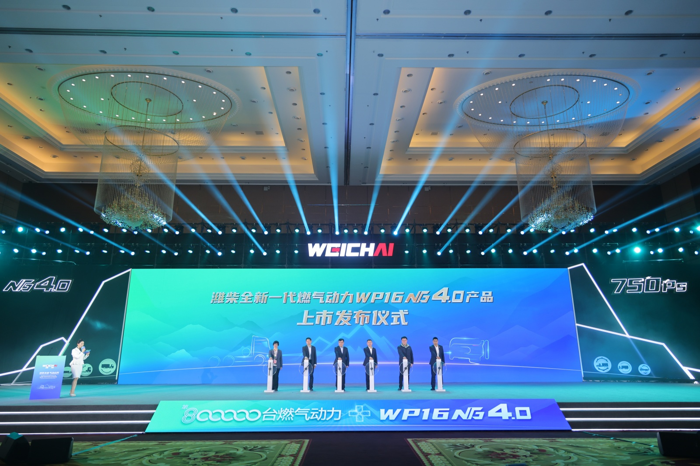 image001.png image001.png